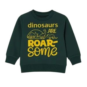 boys dinasours sweat shirt