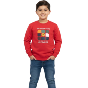 boys swaet shirt