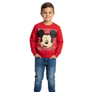 boys sweat shirt